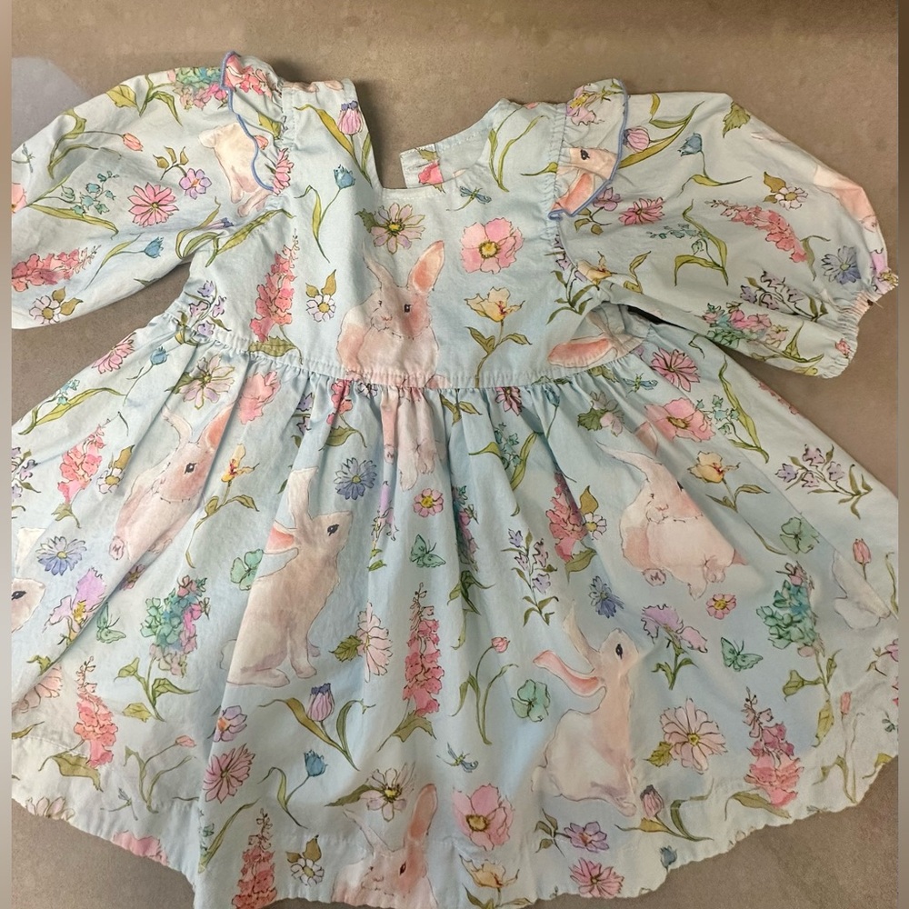 Pink Chicken Baby Brooke Dress